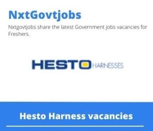 Hesto Harness Logistics Clerk Vacancies in KwaDukuza 2022