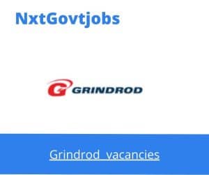 Grindrod Container Handler Operator Vacancies in Durban – Deadline 28 Aug 2023