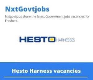 Hesto Harness Occupational Health Nurse Vacancies in Durban – Deadline 10 Nov 2023