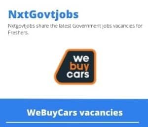 WeBuyCars Used Vehicle Buyer Vacancies in Pietermaritzburg – Deadline 31 Jan 2024