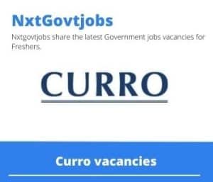 Curro Temp Life Science Teacher Vacancies in Ballito – Deadline 01 Jul 2023